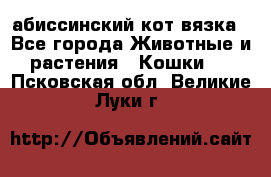 абиссинский кот вязка - Все города Животные и растения » Кошки   . Псковская обл.,Великие Луки г.